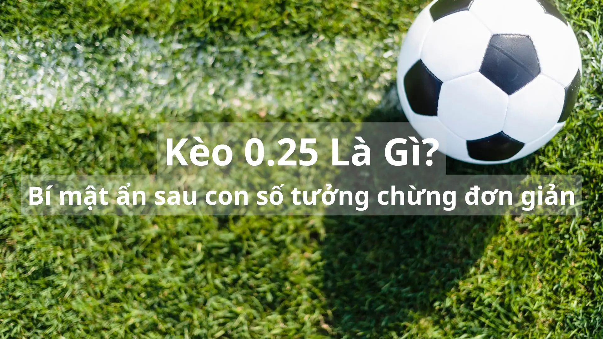 Kèo 0.25 Là Gì? Bí mật ẩn sau con số tưởng chừng đơn giản