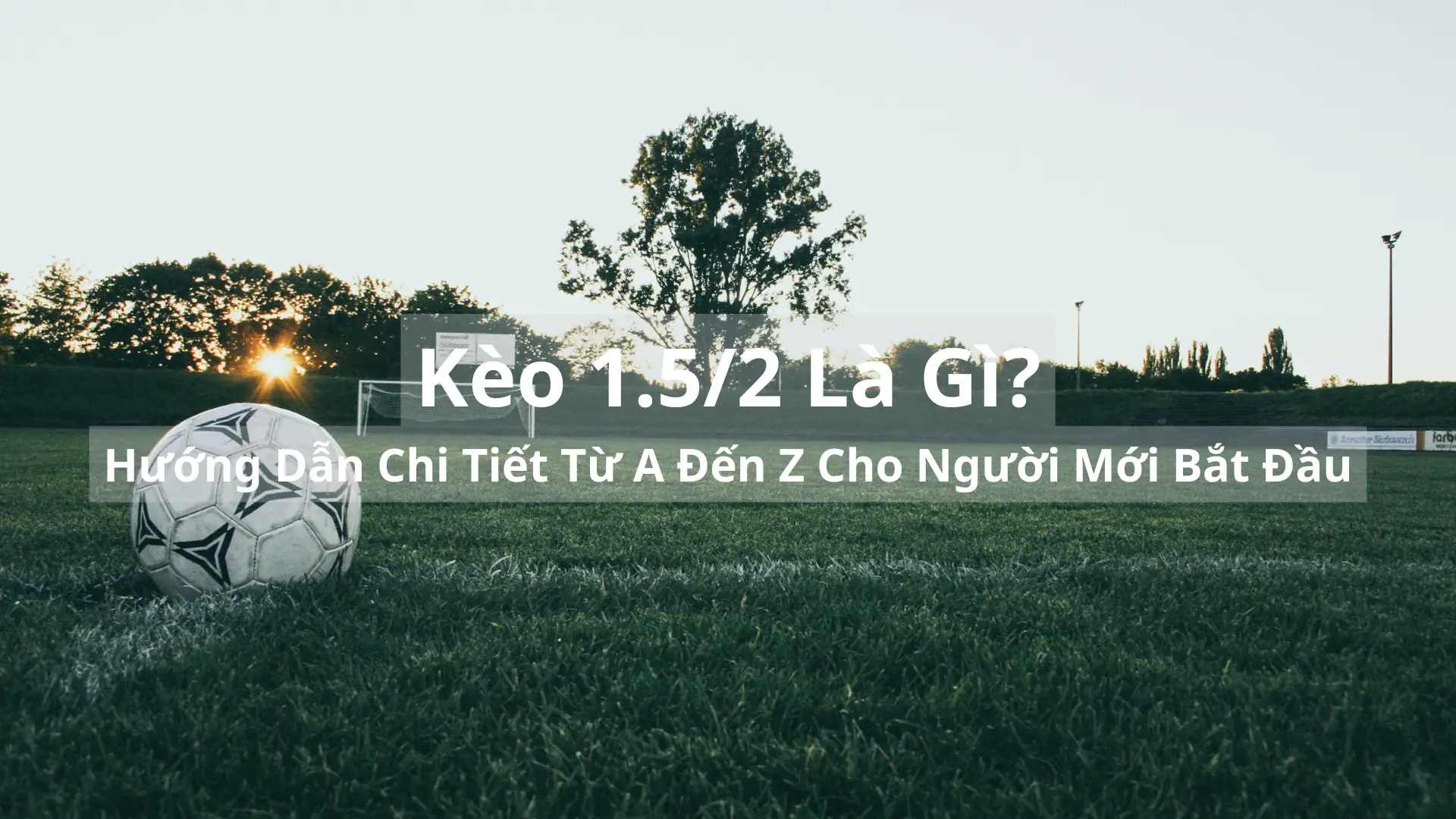 Kèo 1.5/2 Là Gì? Hướng Dẫn Chi Tiết Từ A Đến Z Cho Người Mới Bắt Đầu