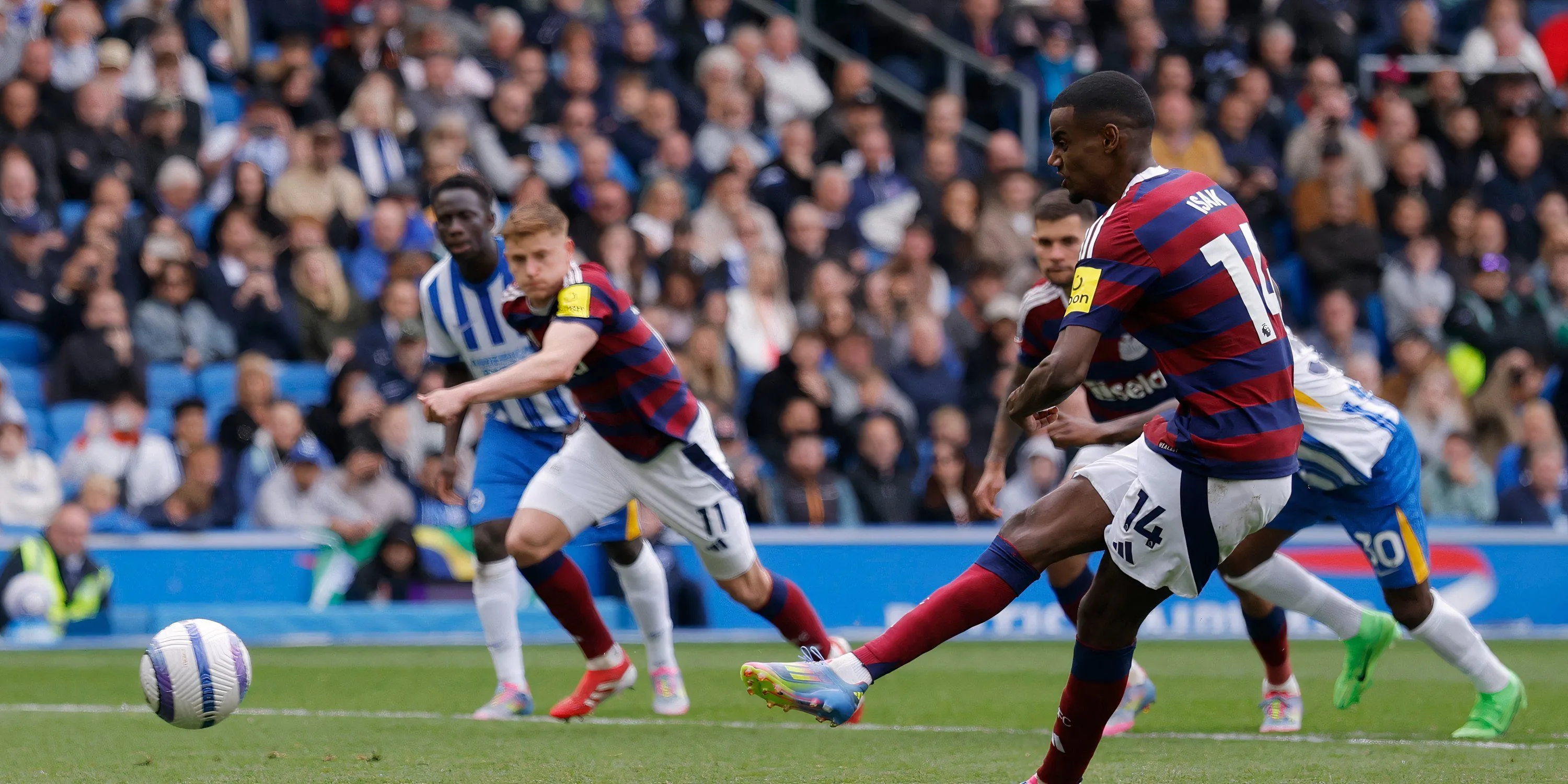 Alexander Isak ăn mừng bàn thắng gỡ hòa cho Newcastle trận gặp Brighton