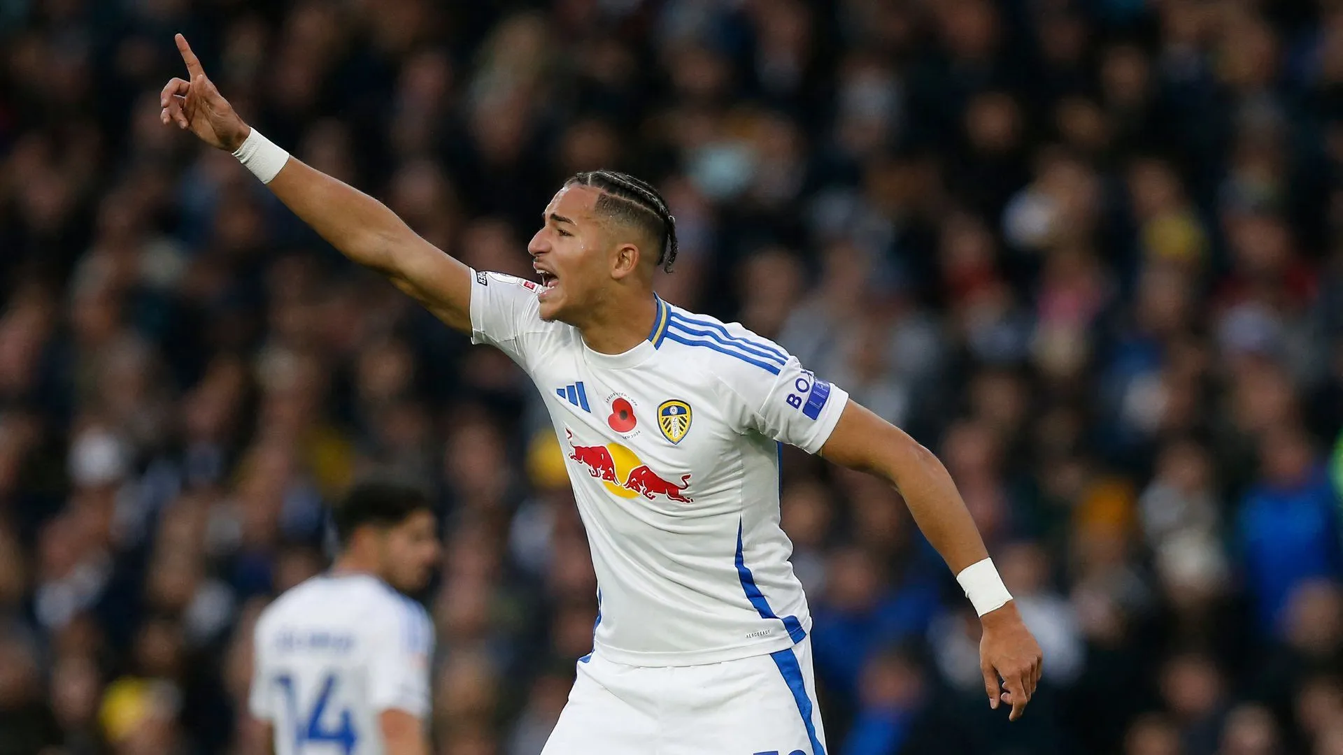 Mateo Joseph, tiền đạo Leeds United trong trận đấu với QPR
