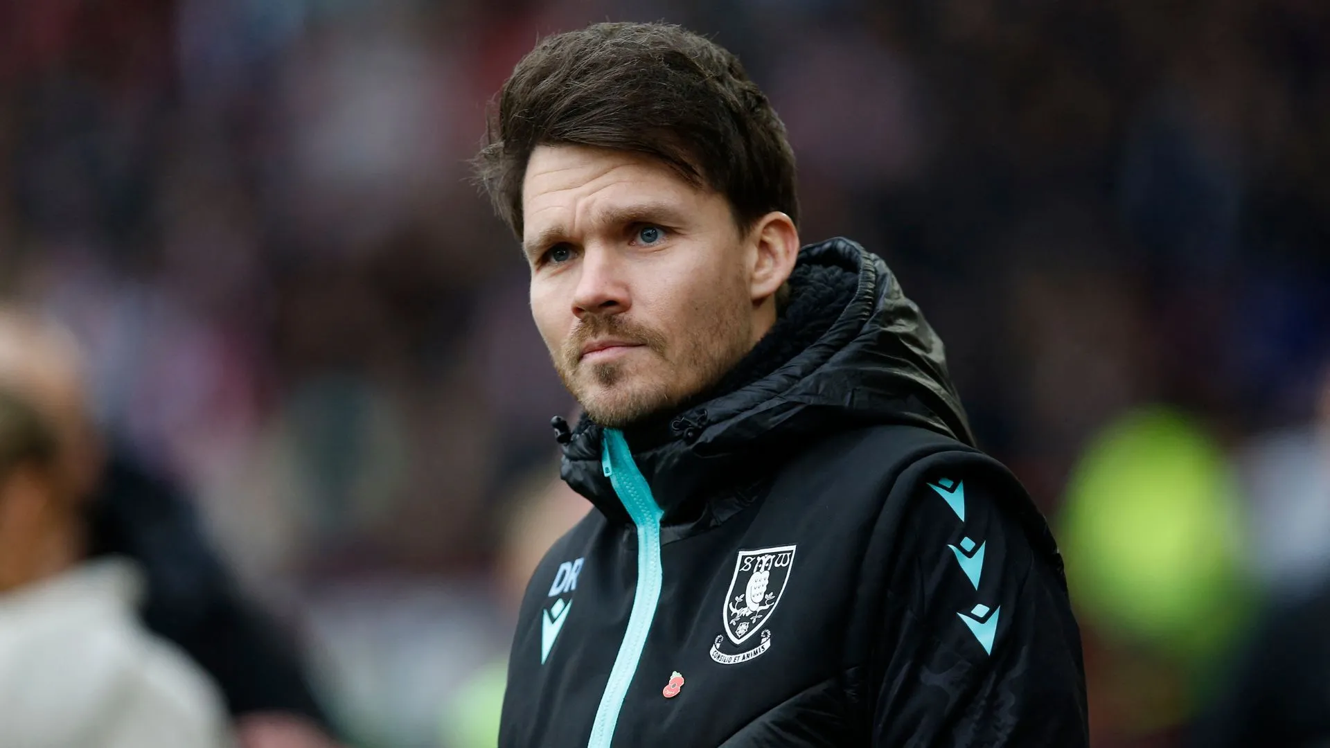 HLV Danny Rohl của Sheffield Wednesday, người đang đàm phán với Wolfsburg tại Bundesliga
