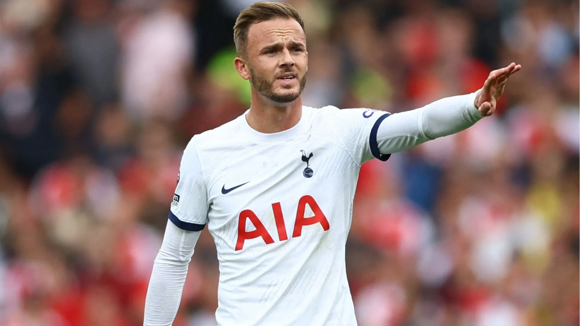 James Maddison thi đấu cho Tottenham Hotspur