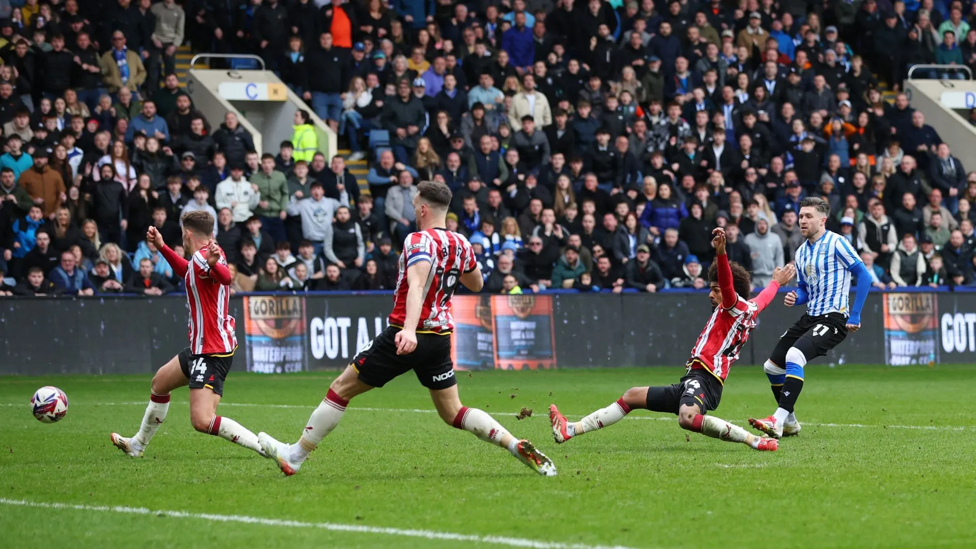 Josh Windass ghi bàn trong trận derby Sheffield, khoảnh khắc đáng nhớ trong sự nghiệp tại Hillsborough