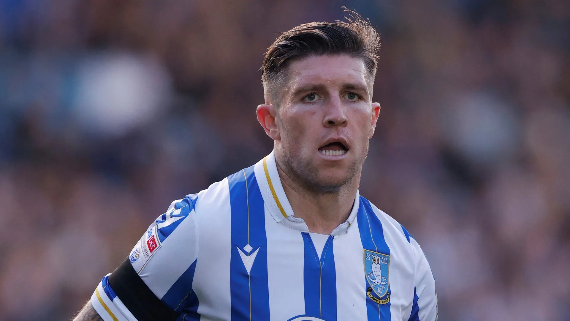 Josh Windass trong màu áo Sheffield Wednesday